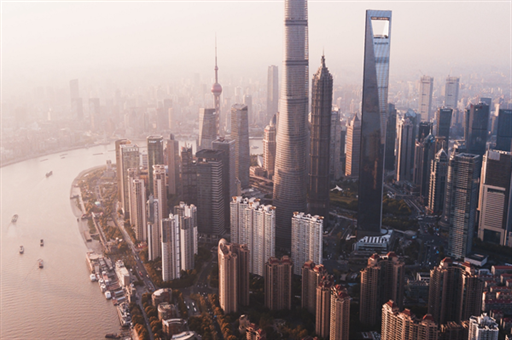 李玟墓地杂草清理记