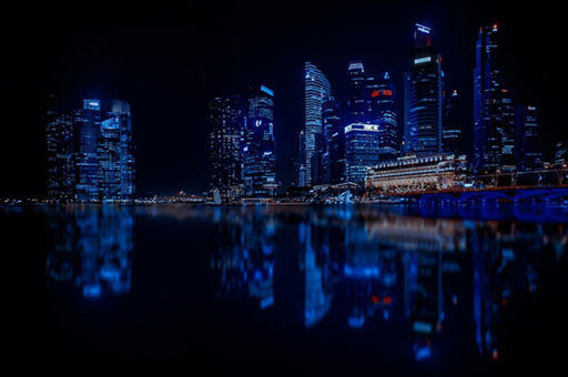 金领冠：宝宝成长路上的坚实陪伴